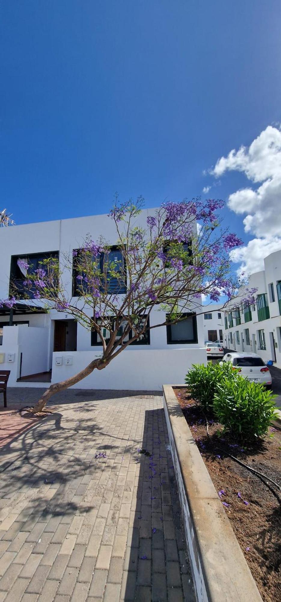 Apartamento Margarita Playa Blanca  Buitenkant foto