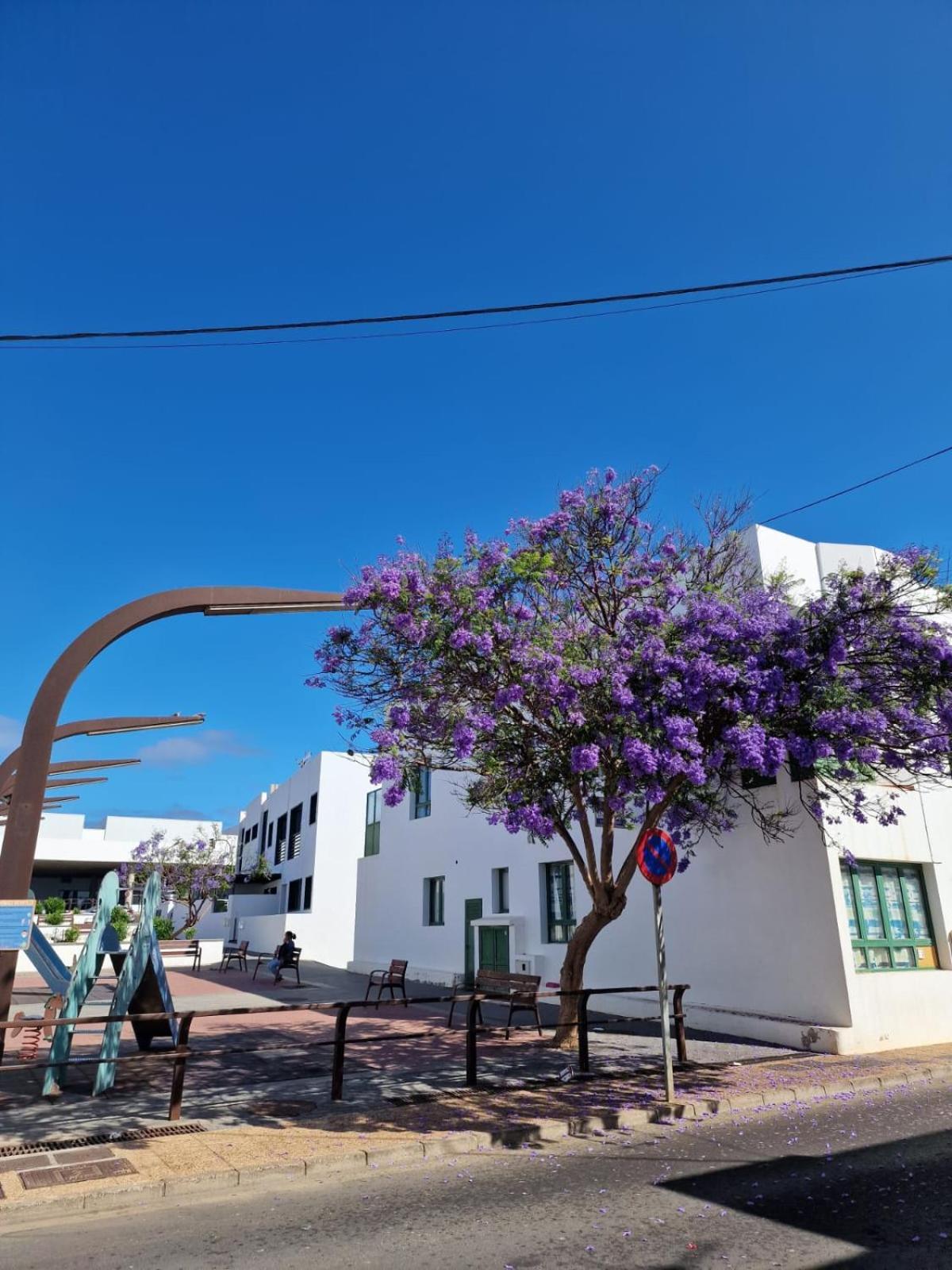 Apartamento Margarita Playa Blanca  Buitenkant foto